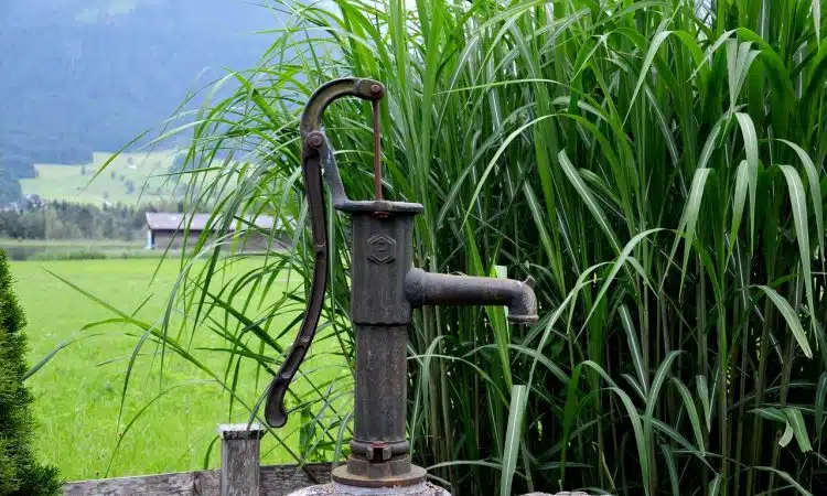 pompe immergée