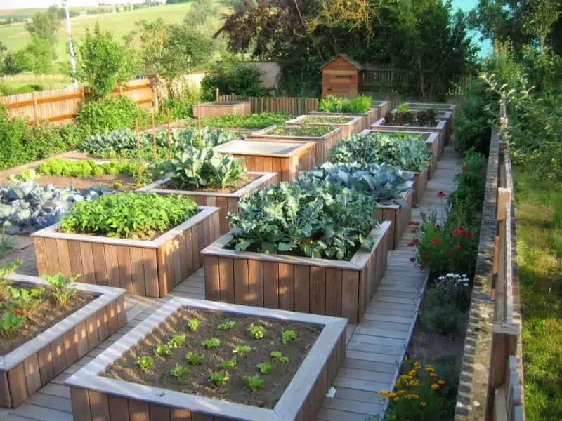 Comment créer un potager en carré dans votre jardin