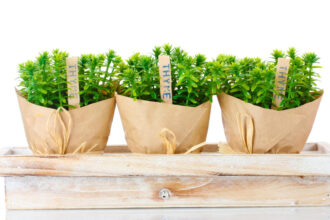 Créer son coin jardin partout grâce aux contenants souples