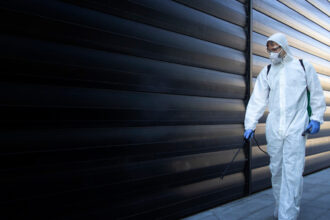 Exterminateur à Paris : quels nuisibles menacent votre maison ou appartement ?