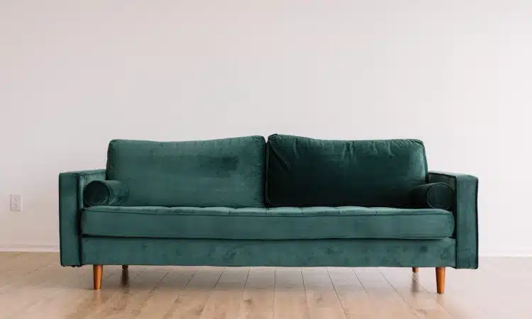 Les canapés tendance pour un intérieur moderne