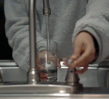 person holding clear glass container
