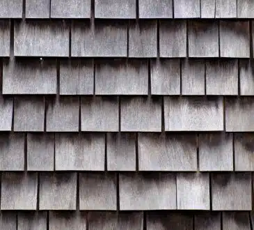 Shingle