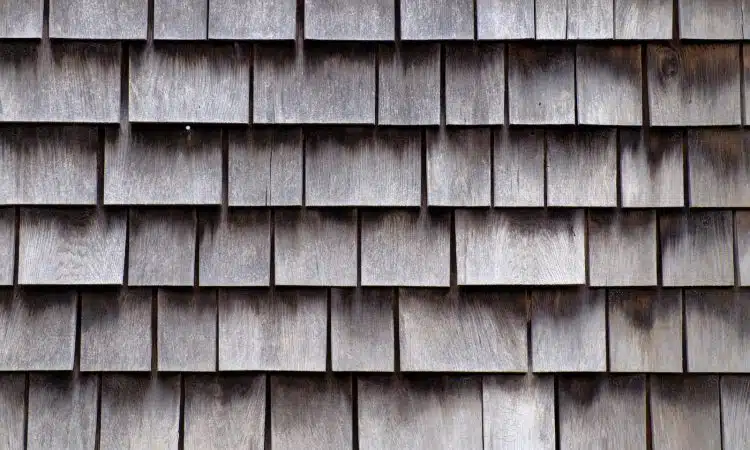 Shingle