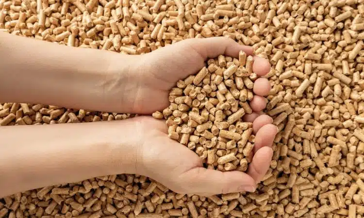 pellets