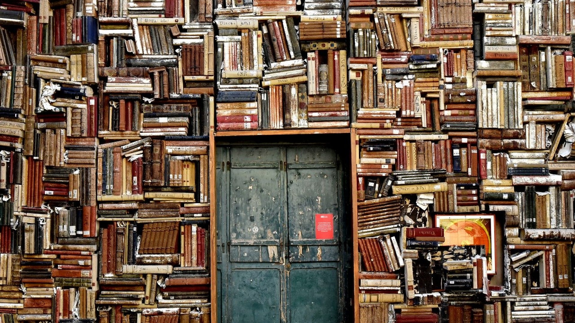 Une étagère pour ranger tous vos livres et vos bibelots