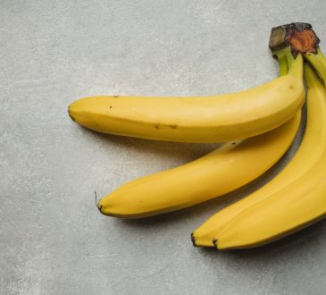 Conseils pour réussir la plantation de bananiers
