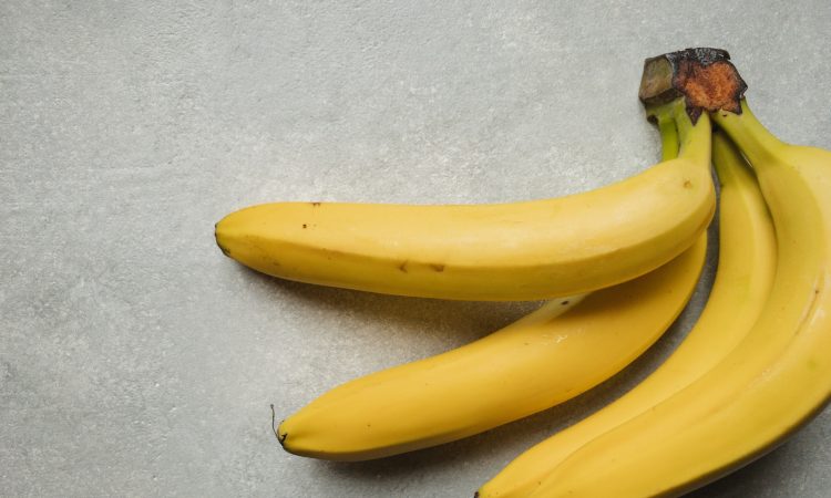 Conseils pour réussir la plantation de bananiers