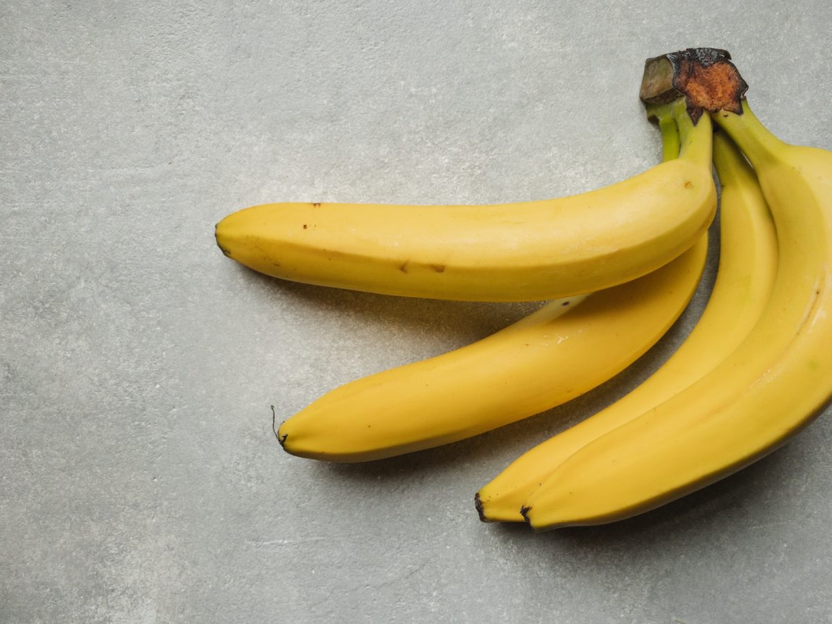Conseils pour réussir la plantation de bananiers