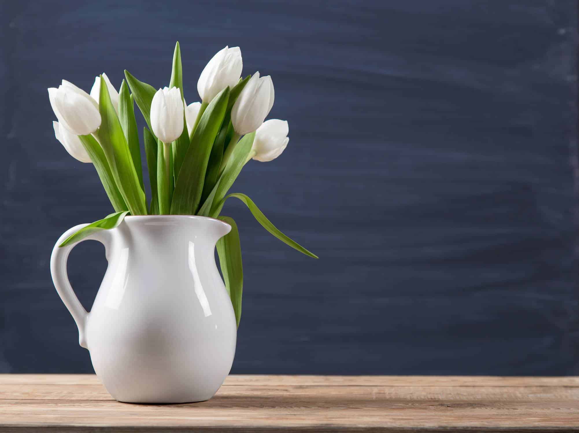 livraison bouquet de tulipes